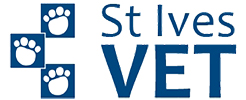 St Ives Vet image