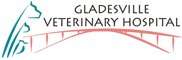 link to Gladesville Veterinary Hospital