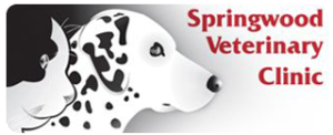 link to Springwood Veterinary Clinic