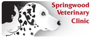 link to Springwood Veterinary Clinic