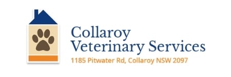 link to Collaroy Veterinary Services
