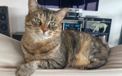 Katya – Assisted rehome