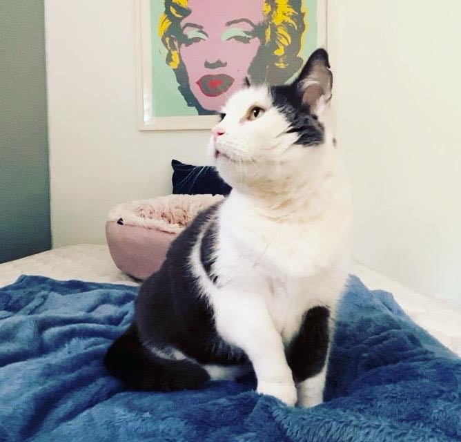 Penny