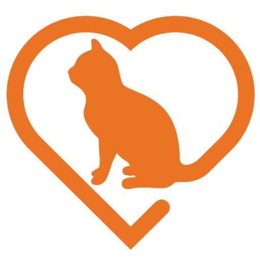 CatRescue 901