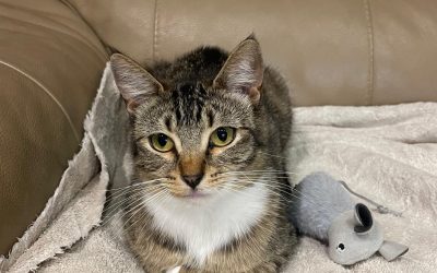 Mai – Assisted Rehome