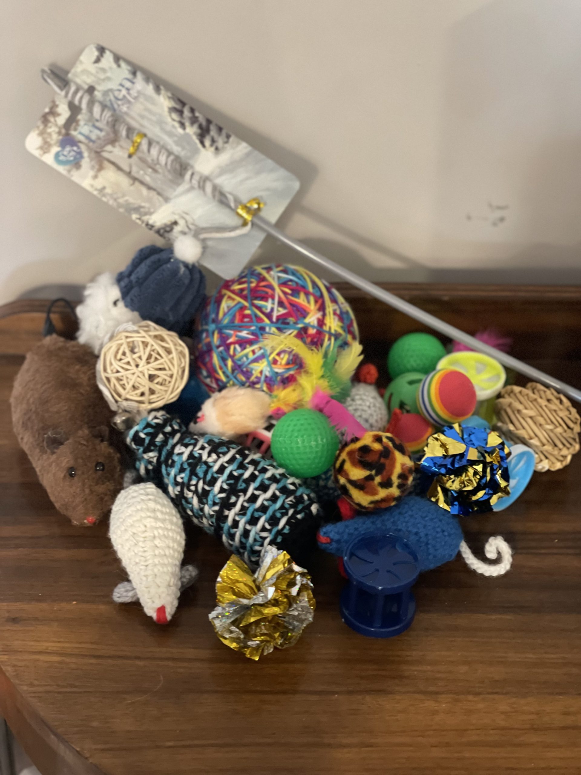 Cat Toys - Pack 4